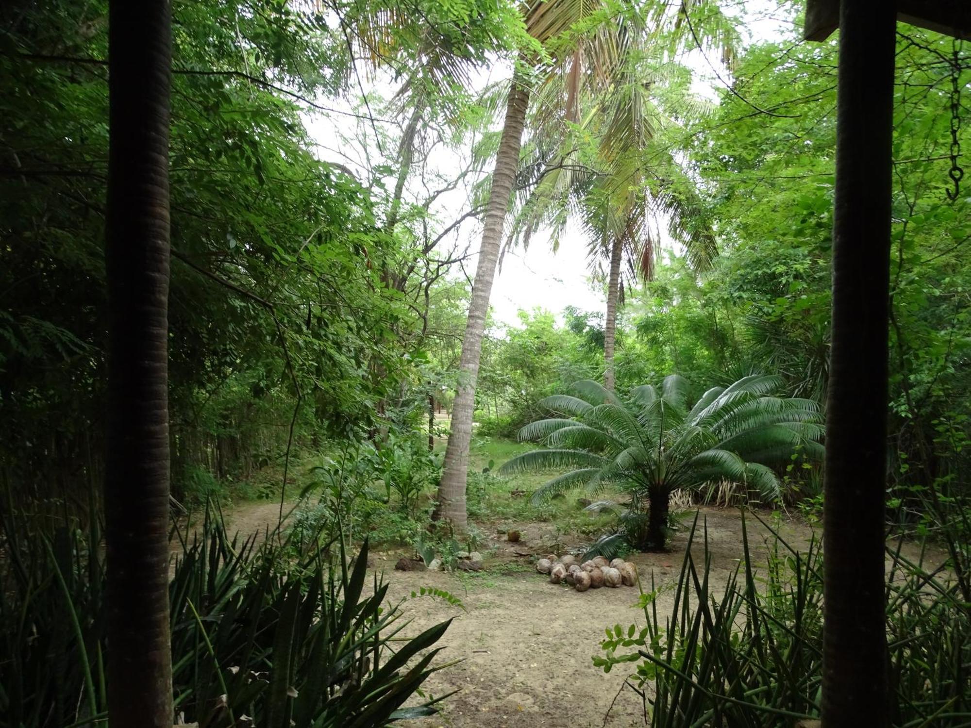 Hotel Jungle House São Miguel do Gostoso Exterior foto